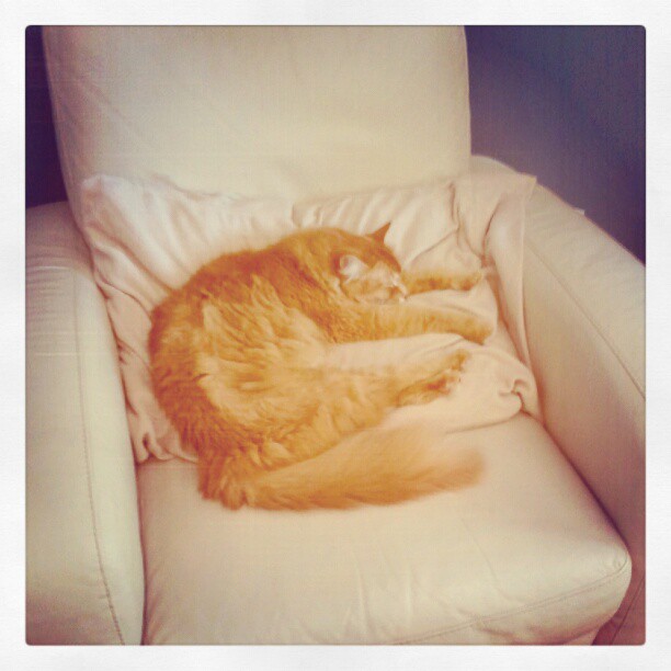 peter sleeping